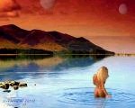 A Vision of Tetra